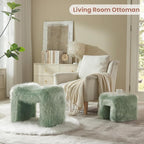 ZYKZYK Small Ottoman Set of 2 Vanity Stool Chair with Modern Ottoman Foot Rest M-Shaped Design for Bedroom Entryway Makeup Vanity Entryway (2-in-1) Green