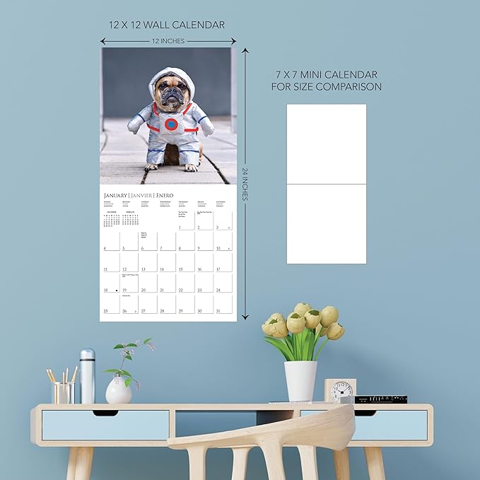 Graphique 2026 Costume Pawty Wall Calendar | 12” x 12” | Thick Paper | Home & Office Organizer | Large Monthly Grid | 3 Languages & Marked Holidays | 4 Month Preview Page for 2027