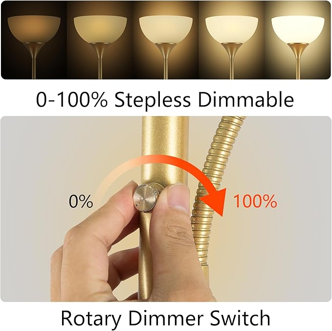 RISLG Floor Lamp, Standing lamp, Stepless Dimming Brightness, Included 9W and 5W LED Bulbs, Lamp for Living Room, Bedroom, Office, Reading