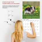 2026 Wall Calendar,Calendar 2026, November 2025 - December 2026, Wall Calendar Pigs & Piglets, 12" x 24" Opened,Full Page Months Thick & Sturdy Paper for Gift Perfect Calendar Organizing & Planning