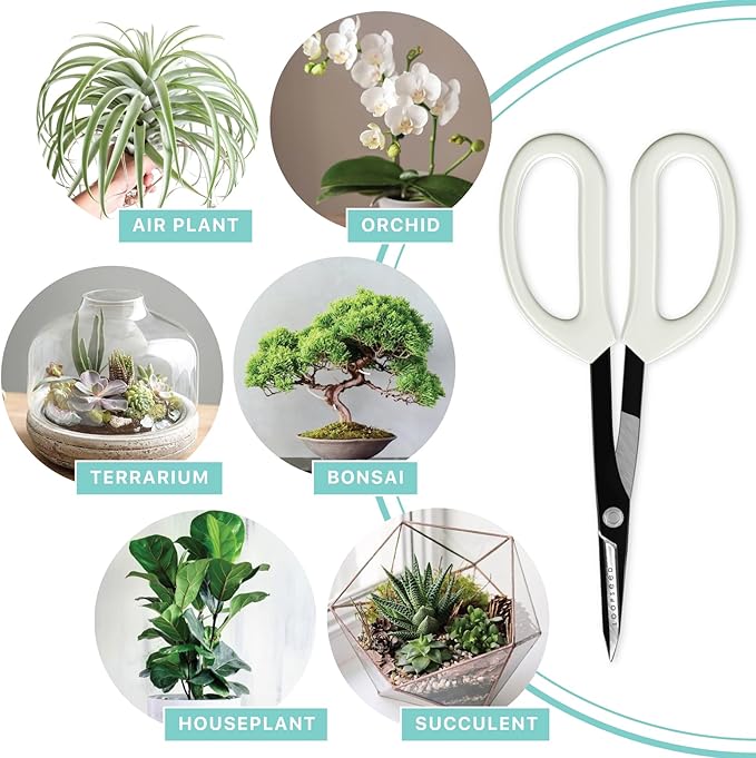 LOOPSEED Precision Gardening Scissors Plant Trimming Pruning Shears Garden Pruners for Orchid Bonsai Hydroponic Flower Clipper Garden Snip 8 Inch Long