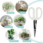 LOOPSEED Precision Gardening Scissors Plant Trimming Pruning Shears Garden Pruners for Orchid Bonsai Hydroponic Flower Clipper Garden Snip 8 Inch Long