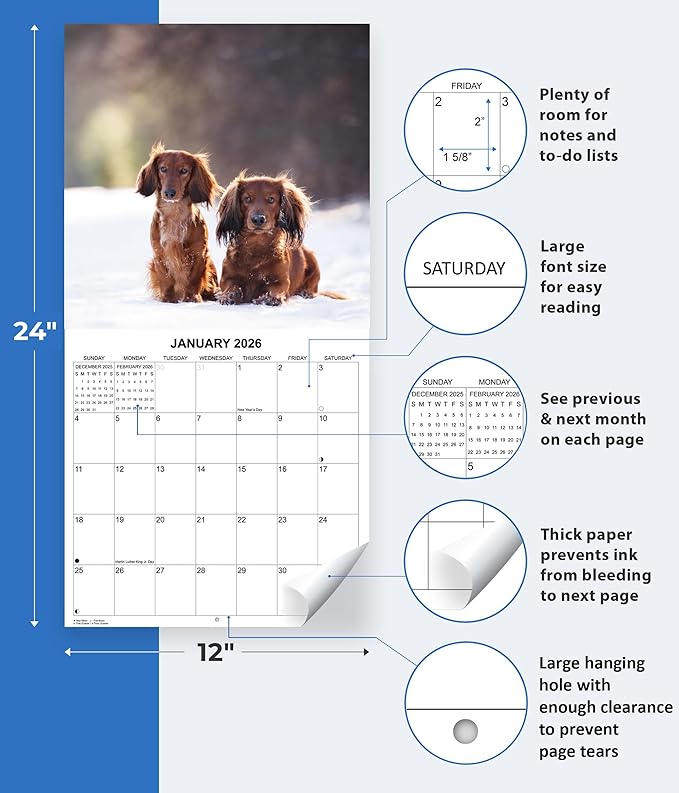 2026 Dachshunds Weiner Dog Monthly Wall Calendar | Wiener Dogs Calendar September 2025 - December 2026