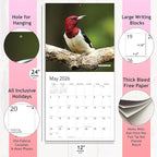 2026 Woodpecker Birds Hangable Wall Calendar Monthly Wood Pecker Wildlife Bird Photo Birder Watching Gift Nature Photography Secret Santa Office (2026 Woodpeckers)
