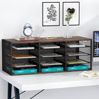 PAG-Mass Mail Sorter Adjustable Holder, Countertop Literature Organizer, Student Mailbox for Classroom, Desktop Bill Paper Organizer for Office Home School, 12 Compartments, Brown