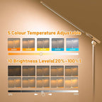 Ddlisu LED Desk Lamp with USB Charging Port, 5 Color Modes 10 Brightness, Dual Swing Arm Dimmable Desk Lamps for Home Office Nail Dorm (White)