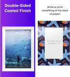 Dull 80lb Text Digital Low Gloss Paper, Double Sided C2S, Coated, Perfect for Color Laser Printing, Design Proposals, Flyers, Brochures | Matte Finish | 8.5" x 14" | 100 Sheets
