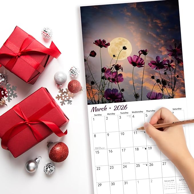 2026 Wall Calendar, MOONS Wall Calendars,2026 Monthly Calendars, Beautiful luna Picture, Thick Glossy Paper, Organizing & Planning