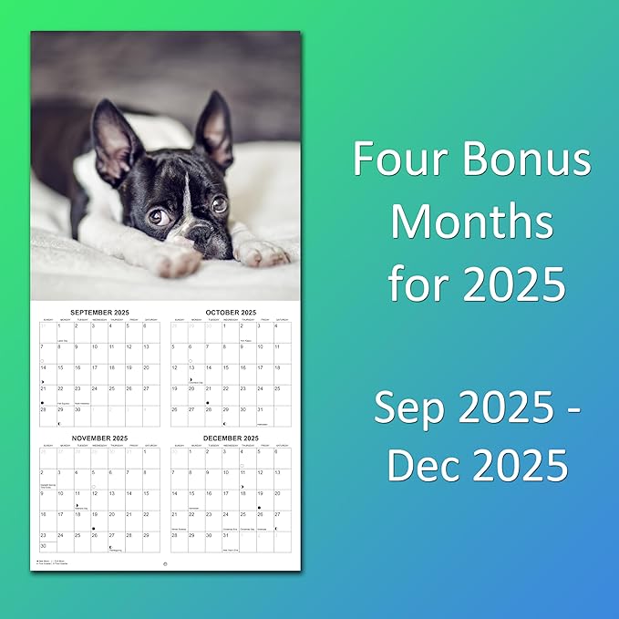 2026 Boston Terriers Monthly Wall Calendar | Dog Calendar September 2025- December 2026