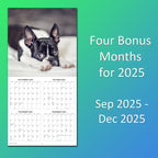 2026 Boston Terriers Monthly Wall Calendar | Dog Calendar September 2025- December 2026