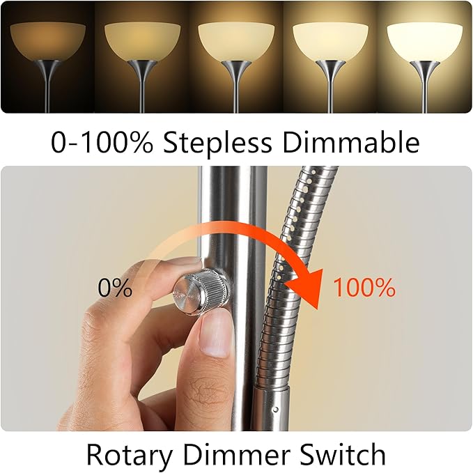 RISLG Floor Lamp, Dimmable Standing lamp, Stepless Dimming Brightness, Included 9W and 5W LED Bulbs, Industrial Floor Lamp for Living Room, Bedroom, Office, Reading