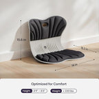 CabeVibe CabSupport Ergonomic Lumbar Support Seat Cushion M1 Plus - Posture Correction Spineseat for Office Chair, Car, Home with Breathable Memory Foam