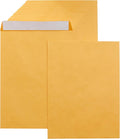 Amazon Basics Catalog Mailing Envelopes, Peel and Seal, 9x12 Inch, Brown Kraft, 250-Pack