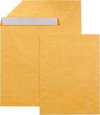 Amazon Basics Catalog Mailing Envelopes, Peel and Seal, 9x12 Inch, Brown Kraft, 250-Pack