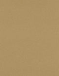 LUXPaper 8.5" x 11" Paper | Letter Size | Grocery Bag Brown | 70lb. Text | 250 Qty