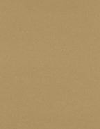 LUXPaper 8.5" x 11" Paper | Letter Size | Grocery Bag Brown | 70lb. Text | 250 Qty