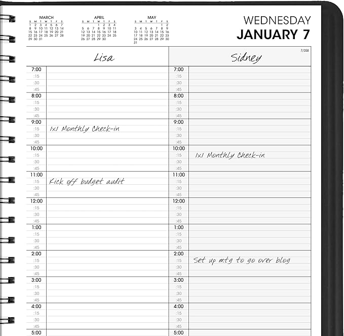 AT-A-GLANCE 2026 Appointment Book Planner, Daily, 8" x 11", Large, Two Person Group, Black (702220526)