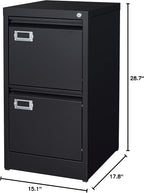 BYNSOE 2 Drawer File Cabinet with Lock Metal Vertical Filing Storage Cabinet Office Home Steel Vertical File Cabinets for A4 Legal/Letter Size Narrow File Cabinet Locked,Assembly Required