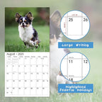 windrio 2026 Wall Calendar, Calendar 2026, July 2025 - December 2026, Wall Calendar Chihuahua Puppies, 12" x 24" Opened,Full Page Months Thick & Sturdy Paper for Calendar Organizing & Planning