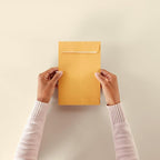 Amazon Basics Self Adhesive Catalog Mailing Envelopes, Peel and Seal, 6x9 Inch, Brown Kraft, 100-Pack