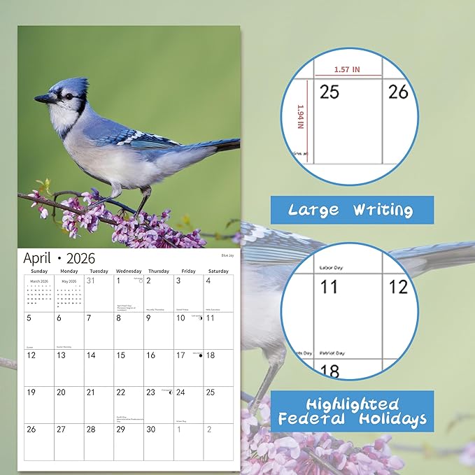 2026 Wall Calendar,Calendar 2026, November 2025 - December 2026, Wall Calendar Song Birds, 12" x 24" Opened,Full Page Months Thick & Sturdy Paper for Calendar Organizing & Planning