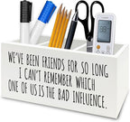 QZQE Funny Sarcastic Friendship Pen Pencil Holder Organizer for Desk, Humorous Gifts, We've Been Friends for So Long I Can't Remember Which Wooden Box Signs Decor for Home Office Desk Tabletop