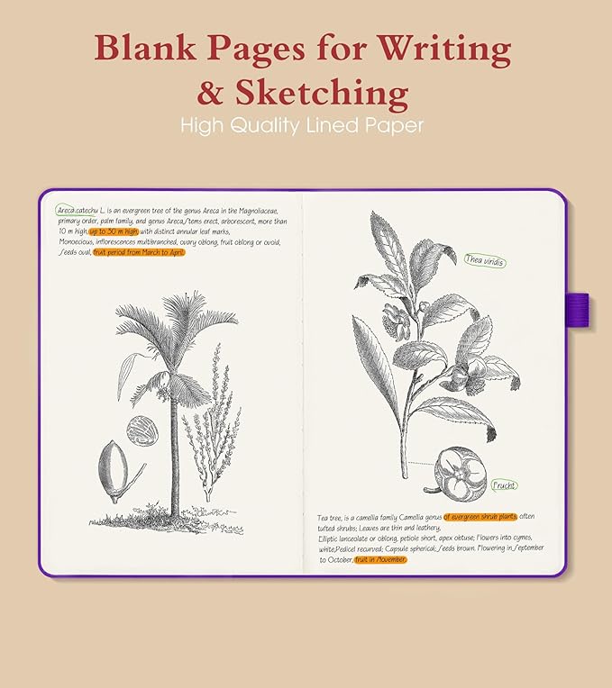 PAIBAS Blank Journal Notebook for Women Men,160 Pages,A5 Hardcover Sketchbook for Drawing, Sketch book, Unlined Notebooks for School,Work, Note Taking,Travel Journals for Writing 5.8"x8.5" (Purple)