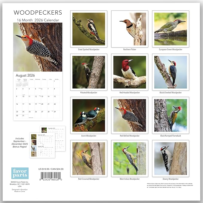 2026 Woodpecker Birds Hangable Wall Calendar Monthly Wood Pecker Wildlife Bird Photo Birder Watching Gift Nature Photography Secret Santa Office (2026 Woodpeckers)