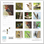 2026 Woodpecker Birds Hangable Wall Calendar Monthly Wood Pecker Wildlife Bird Photo Birder Watching Gift Nature Photography Secret Santa Office (2026 Woodpeckers)