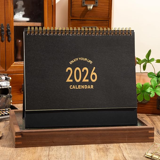 Large Desk Calendar 2026, Standing Flip Medium Desktop Calendar from Now to December 2026 - Metal Ring Twin-Wire Binding Monthly Desk Calendar for Home Office School, 9.9" × 8.7"(L-Black)