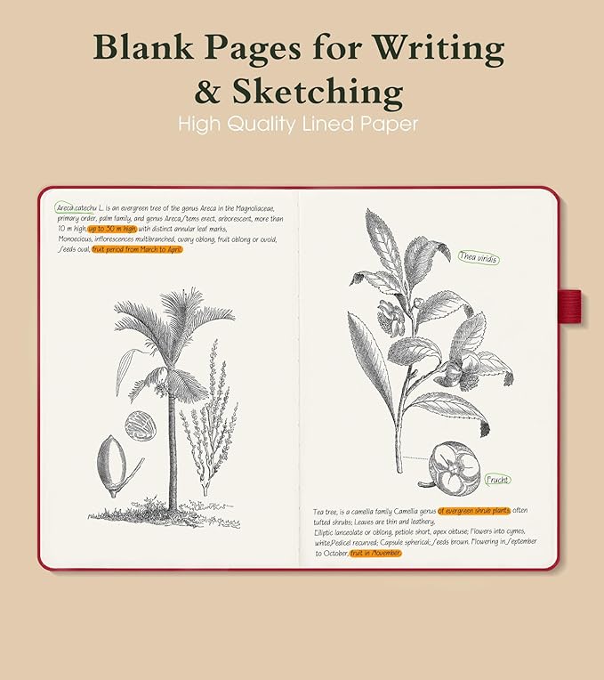 PAIBAS Blank Journal Notebook for Women Men,160 Pages,A5 Hardcover Sketchbook for Drawing, Sketch book, Unlined Notebooks for School,Work, Note Taking,Travel Journals for Writing 5.8"x8.5" (Burgundy)
