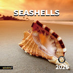 2026 Wall Calendar,Calendar 2026, November 2025 - December 2026, Wall Calendar Seashells, 12" x 24" Opened,Full Page Months Thick & Sturdy Paper for Calendar Organizing & Planning