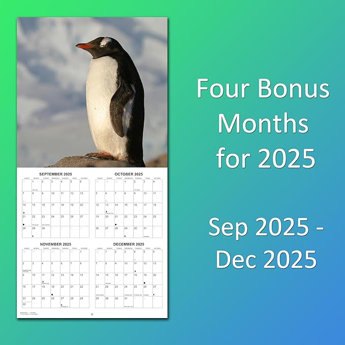 2026 Penguins Monthly Wall Calendar | Cute Animals Calendar 2025-2026