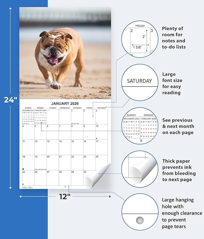 2026 English Bulldogs Monthly Wall Calendar | Cute Dogs Calendar September 2025 - December 2026
