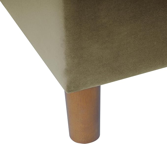 Spatial Order Home Decor | Dinah Collection Modern Storage Ottoman | Ottoman with Storage for Living Room & Bedroom(Light Sage Green Velvet)