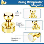 LOVIMAG Fridge Magnets 20Pcs Refrigerator Whiteboard Small Strong Magnet Classroom Kitchen Accessories Decorative Locker Set Decor Must Haves Office Calendar Refrigerador Magnetic Cute Crafts Gold