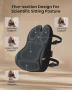 ProtoArc Lumbar Support Pillow for Office Chair, Memory Foam Back Support Pillow for Lower Back, Lumbar Cushion Desk Chair Back Cushion, Ergonomic Back Rest for Chair, Car, Home - Black