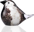 ORRFIDDY Blown Glass Birds - Glass Art Bird Decor, Hand Blown Glass Animal Figurines Paperweight for Home Shelf Decor