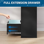 PEUKC 2-Drawer Metal File Cabinet, Lateral Vertical Filing Cabinets for Home Office, Locking File Cabinet with Storage Shelves, Legal/Letter/A4 Size Office File Cabinets (Black, Assemble Required)