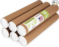 Paclord 3" x 18" Reinforced Kraft Paper Mailing Tube, Pack of 6 Tubes with 12 Caps – Secure USPS Approved Poster Tube – Cardboard Tube for Shipping and Storing Posters, Prints, Artwork, or Document