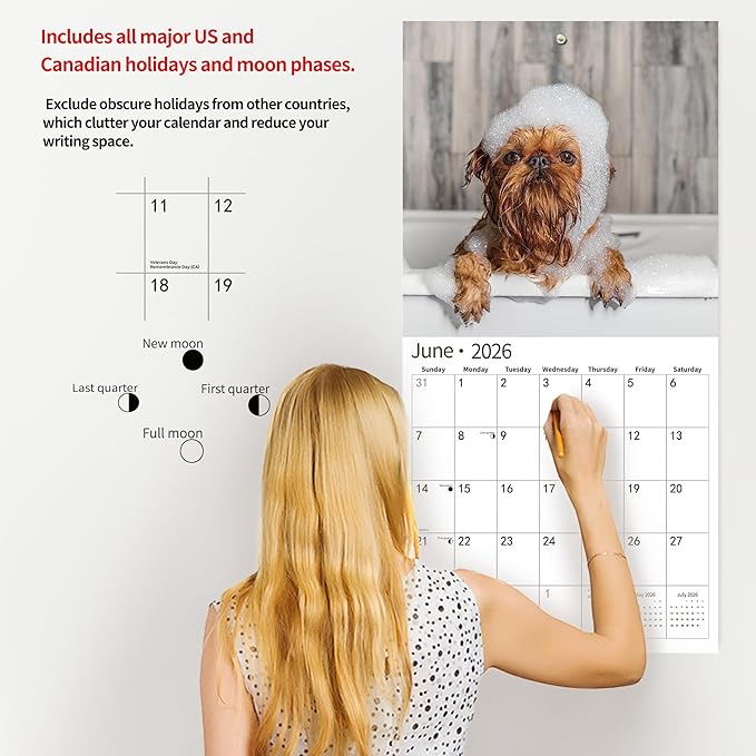2026 Wall Calendar,Funny Calendar 2026, November 2025 - December 2026, Wall Calendar Funny Animal Memes, 12" x 24" Opened, Full Page 14 Months Thick Paper for Gift Calendar Organizing Planning