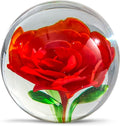 EUSTUMA Hand Blown Glass Flower Paperweight Figurine for Office Desk.Give You A Gift from The Person You Love, The Garden Decoration.(Orange Flower)