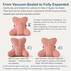 Ailuteie Lumbar Support Pillow(Pat. Pend) for Lower Back Pain Relief – Multi-Functional Ergonomic Lumbar Cushion, Reading Pillow for Office Chair, Car Seat & Sofa,Blush Pink