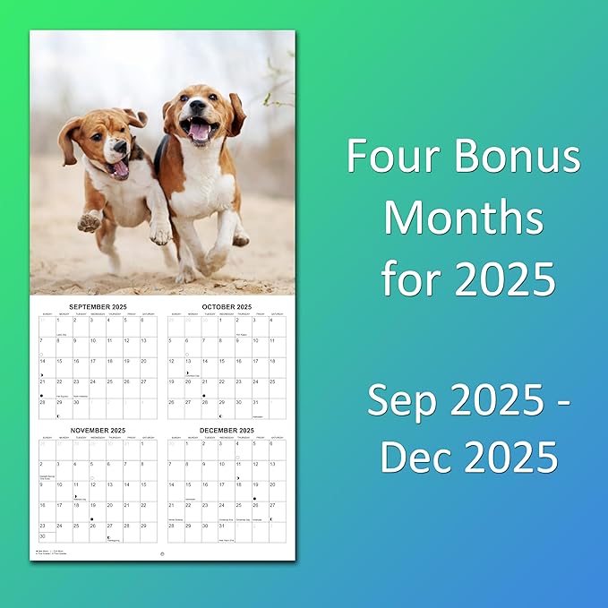 2026 Beagles Monthly Wall Calendar | Cute Dog Calendar September 2025 - December 2026