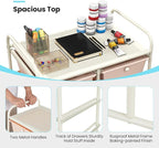GLACER 10 Drawer Rolling Cart, Storage Cart with Lockable Whieels & Metal Frame, Trolley for Art Craft Oganizer, Mobile Utility Cart for Office, School, Classroom, Kitchen (Multicolor)