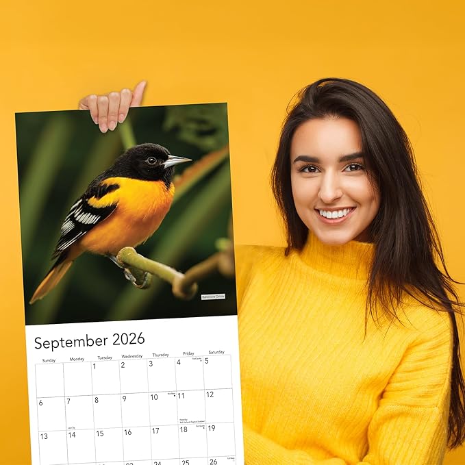 2026 Backyard Birds Hangable Wall Calendar Monthly Beautiful Wildlife Bird Photo Birder Watching Gift Forest Nature Photography Secret Santa Office (2026 Backyard Birds)