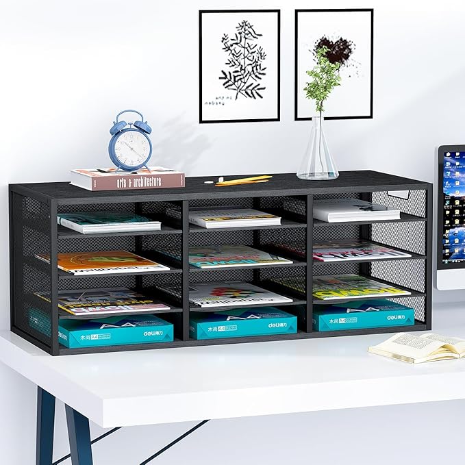 PAG-Mass Mail Sorter Adjustable Countertop Heavy Duty Literature Organizer Student Mailbox for Classroom Desktop Bill Paper Holder Rack for Office Home School, 12 Compartments, Black