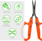 Saboten Stainless Steel Straight Blade Trimming Scissors Orange PT-12 160mm Precision Gardening Bonsai and Floral Shears Made in Japan