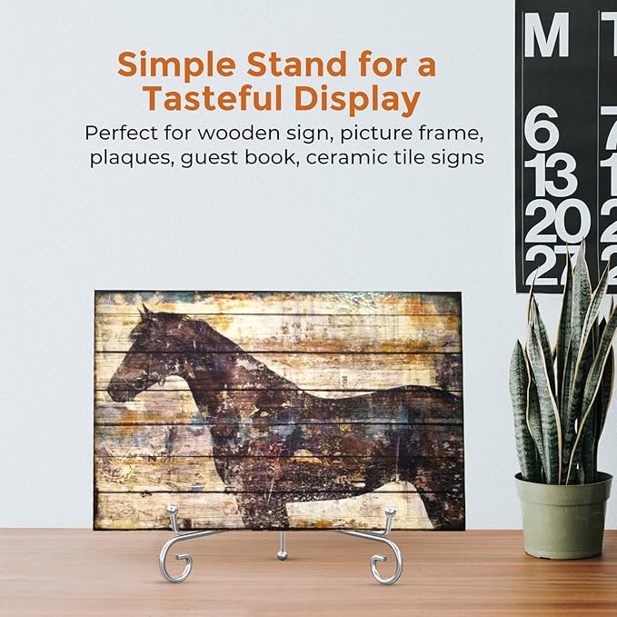 TR-LIFE Plate Stands for Display - 10 Inch Holder + Metal Easel Stand for Picture Frame, Decorative Plates, Photo, Book, Collectibles (Silver 2 Pack)