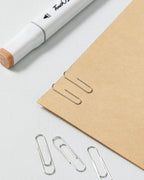 PAPERPAL Paperclips for Office School & Personal Use, #1 Nonskid Paper Clip (1-2/7"), 2000 Medium Paper Clips (20 Boxes of 100 Each), Silver